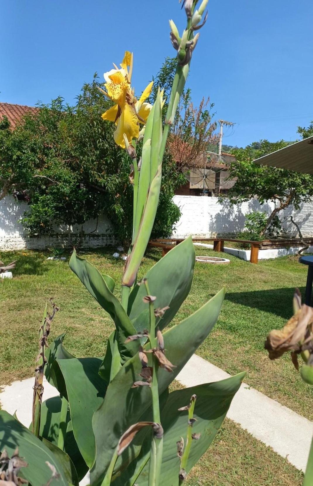 Casinha Verde Passa Quatro Exteriér fotografie
